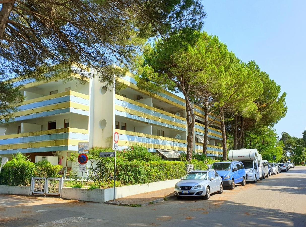 Halley Bibione Buitenkant foto